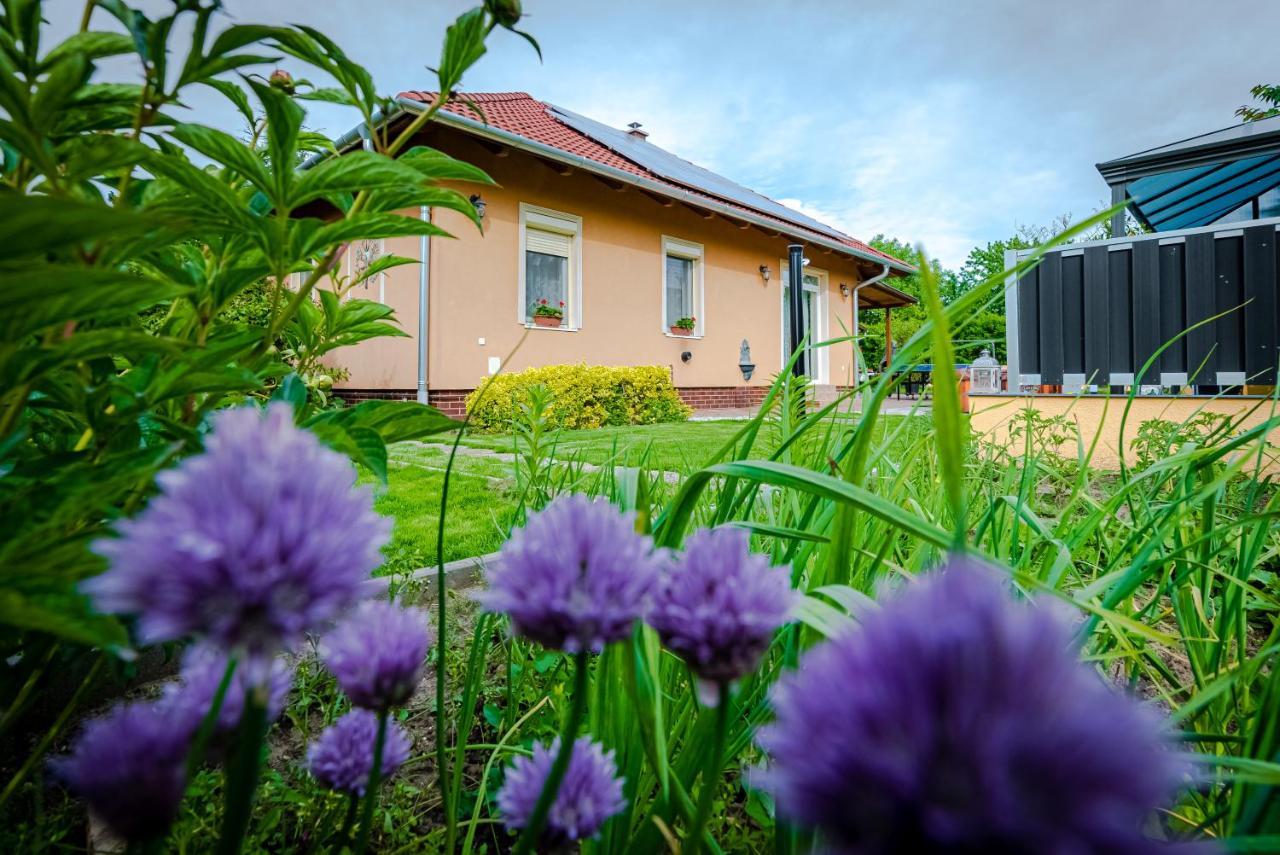 Sunny Garden Pihenohaz Villa Siófok Exteriör bild